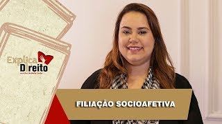 Explica Direito Filiação Socioafetiva  2019 [upl. by Larkins]