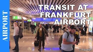 TRANSIT WALK AT FRANKFURT Airport FRA Terminal 1  Connection Flight Transfer Arriving amp Departing [upl. by Joab]